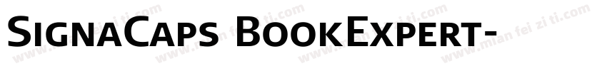SignaCaps BookExpert字体转换